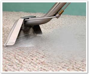 Steam Cleaning Carpets